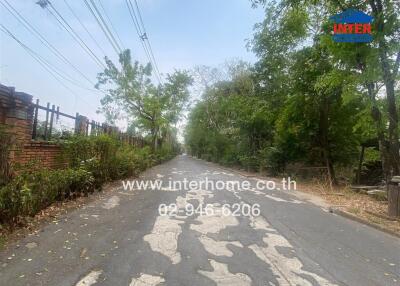 View of a road leading through a wooded area with trees on both sides and a brick fence on the left