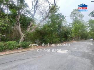 Street view of residential area with trees