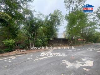 Street view with trees and a building in the background