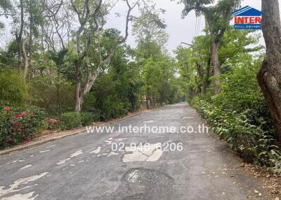 Street view with trees and greenery