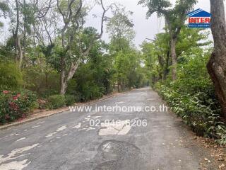 Street view with trees and greenery