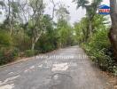 Street view with trees and greenery