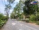 Quiet residential street with trees