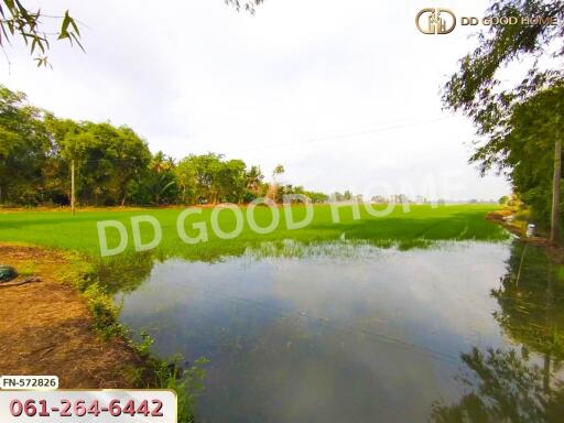 Scenic view of a pond with green fields and trees in the background