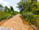 Rural road with lush greenery