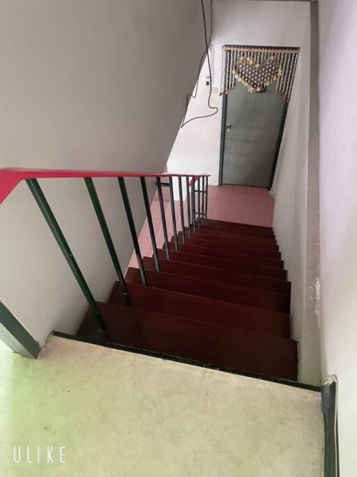 Indoor staircase with wooden steps and a door at the bottom