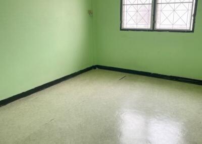 Empty bedroom with green walls and two windows