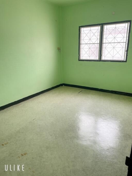 Empty bedroom with green walls and two windows