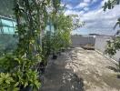 Rooftop garden area with potted plants and partial city view
