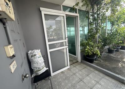 Entrance area with plants and glass doors