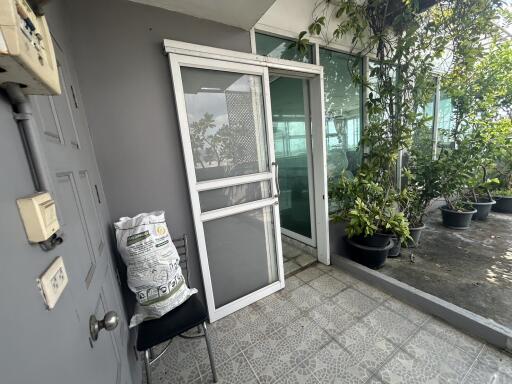 Entrance area with plants and glass doors