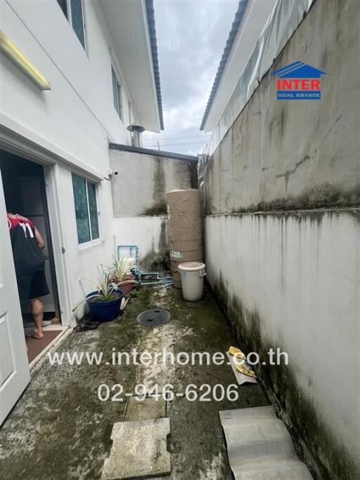 Outdoor area with concrete flooring and plants