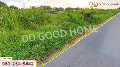 Vacant lot with lush grass and plants near a roadway