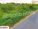 Vacant lot with lush grass and plants near a roadway