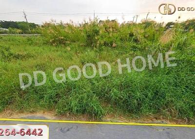 vacant plot of land with grassy vegetation