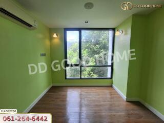 Bright bedroom with green walls and large window