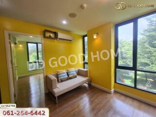Bright living room with yellow walls and large windows