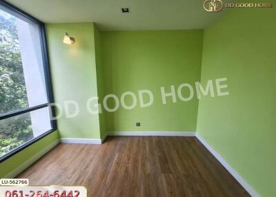 Bright empty green-painted room with large window and wooden floor