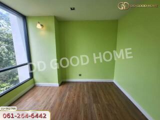 Bright empty green-painted room with large window and wooden floor