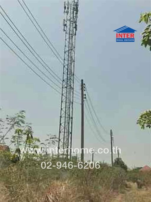 Outdoor view with telecom tower and vegetation