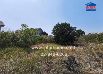 Empty plot of land with vegetation and houses in the background