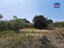 Empty plot of land with vegetation and houses in the background