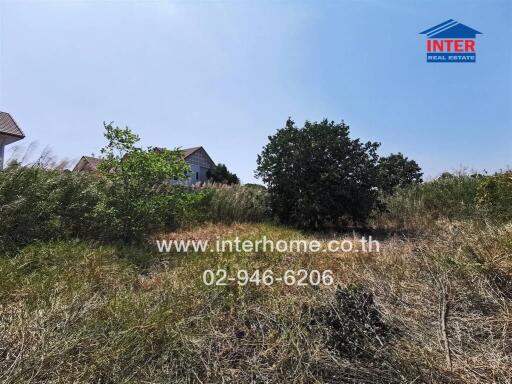 Empty plot of land with vegetation and houses in the background