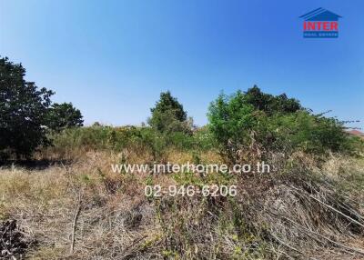 Vacant land with surrounding trees and clear sky