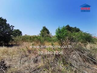 Vacant land with surrounding trees and clear sky