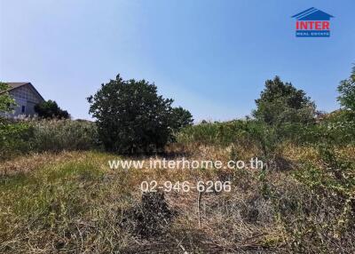 Outdoor view of the property with trees and grass