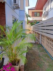 House for Rent, Sale in Suthep, Mueang Chiang Mai.