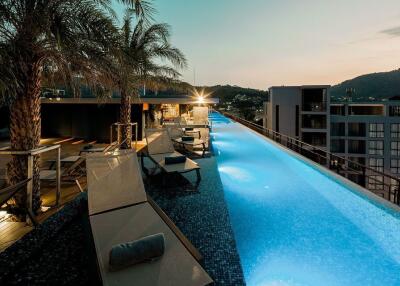 Rooftop infinity pool at sunset with lounge chairs and palm trees