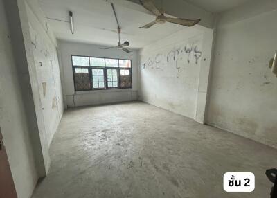 Empty living room with large windows and ceiling fans