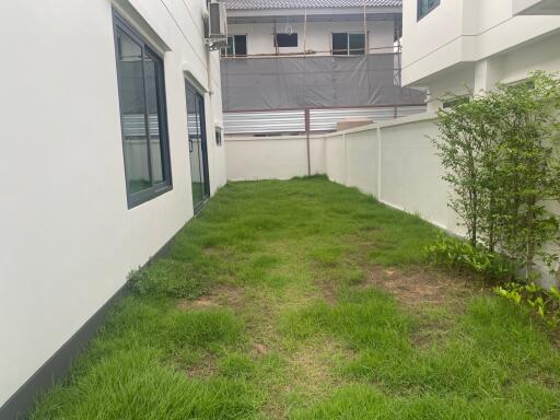 Backyard with grass and fence