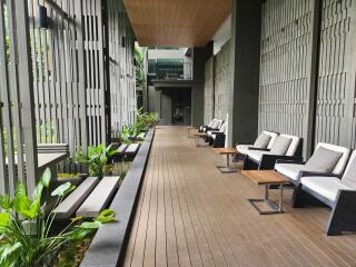 Modern outdoor seating area with wooden flooring and plants