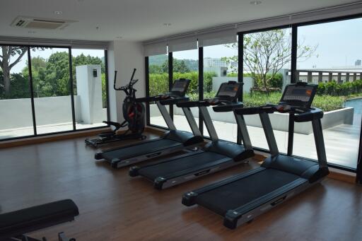 Fitness center with treadmills and large windows showcasing outdoor greenery