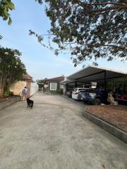 Driveway leading to a residential house with a covered carport