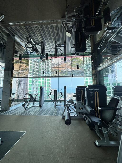 Modern gym with various exercise equipment and large windows