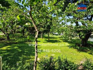 Lush garden area with trees and grass