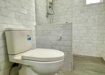 Modern bathroom with a tiled shower and toilet