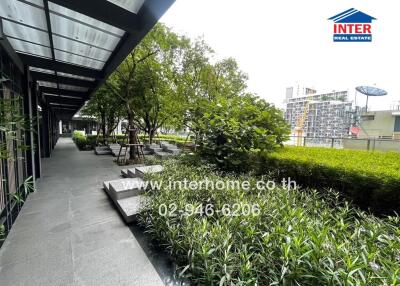 Outdoor area with greenery and seating