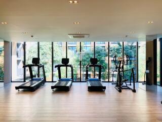 Modern fitness center with treadmills and elliptical machines