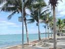 Beachfront walkway with palm trees and ocean view