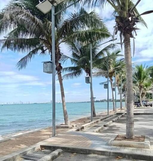 Beachfront walkway with palm trees and ocean view