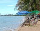 Beachfront with lounge chairs and umbrellas