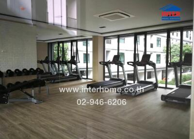 Modern gym with treadmills and weights