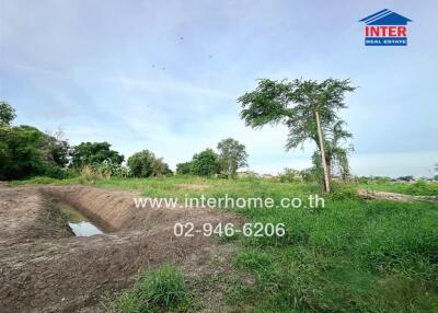 Vacant land area with grass and trees
