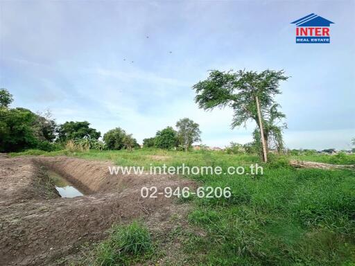 Vacant land area with grass and trees