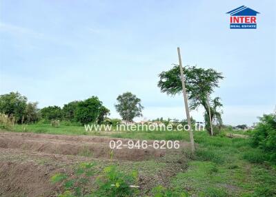 Vacant land with green vegetation