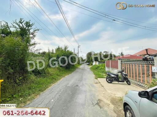 Exterior road leading to the property